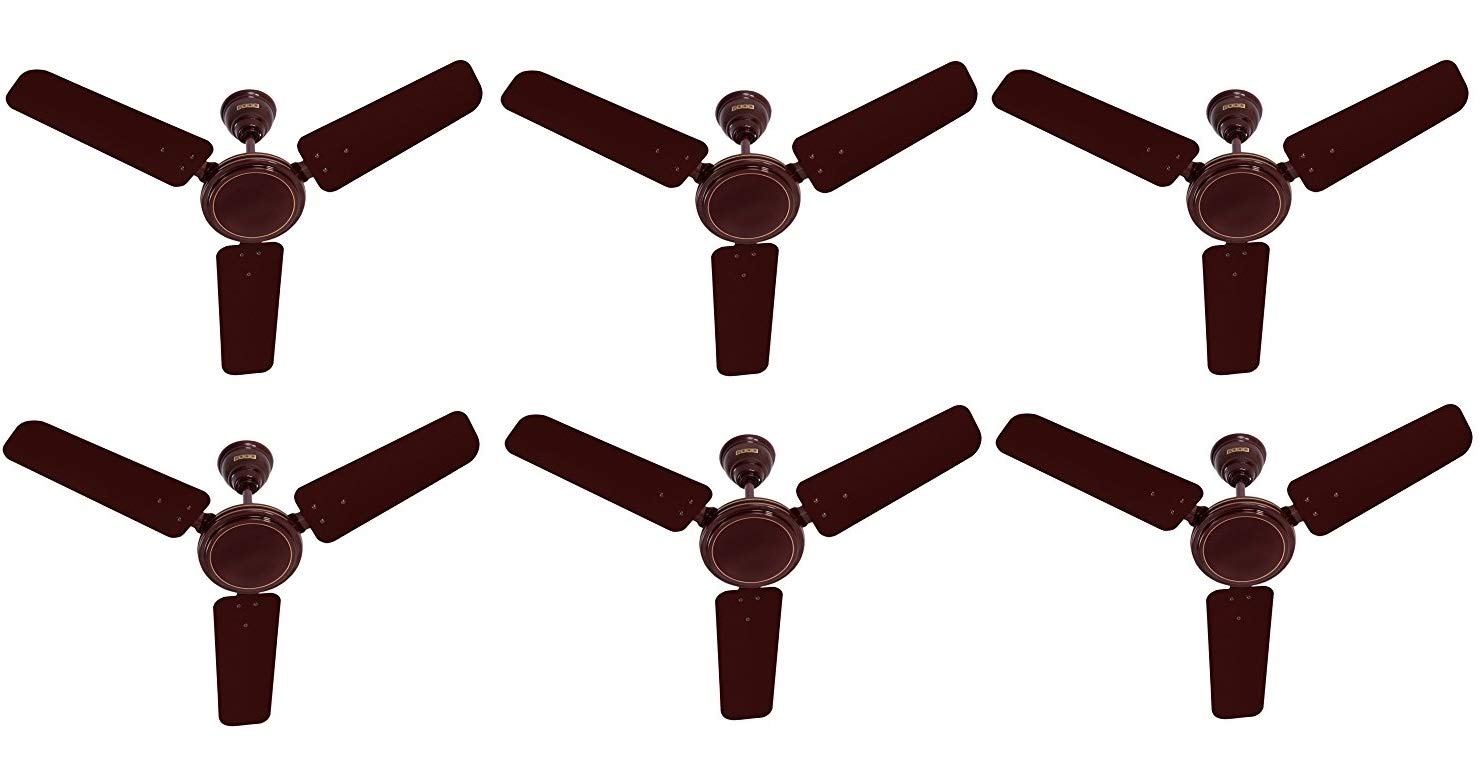 Usha Ace-Ex 600mm Ceiling Fan (Brown) Pack of 6