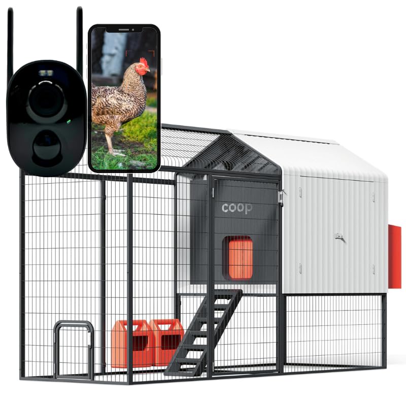 Amazon.com: Smart Coop with Steel Run – Weatherproof, Predator