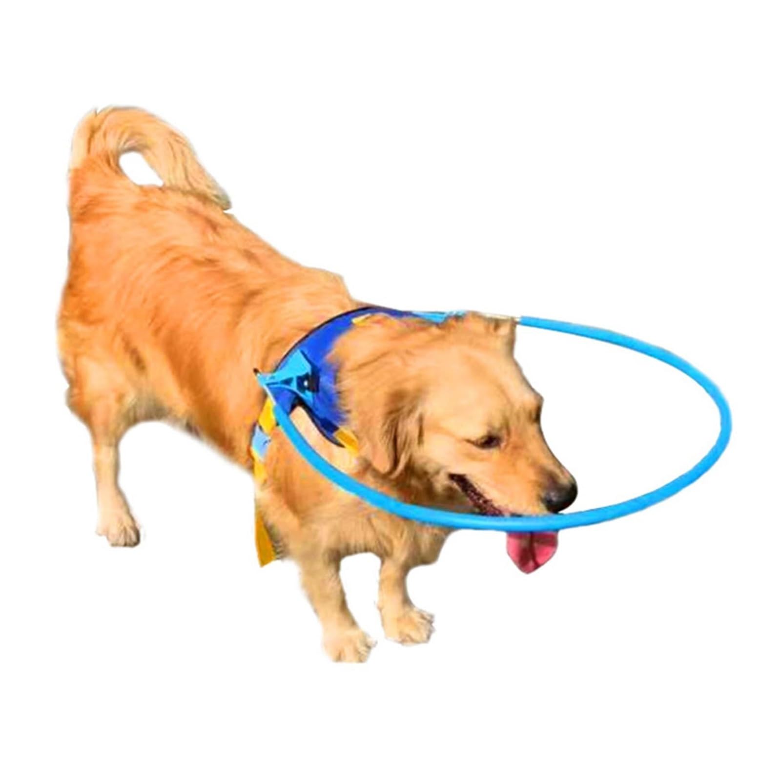 Blind Dog Harness With Adjustable Halo, Protective Collar For Blind Dogs, Comfortable And Safe Walking Harness For Small Dogs With Vision Loss(S)