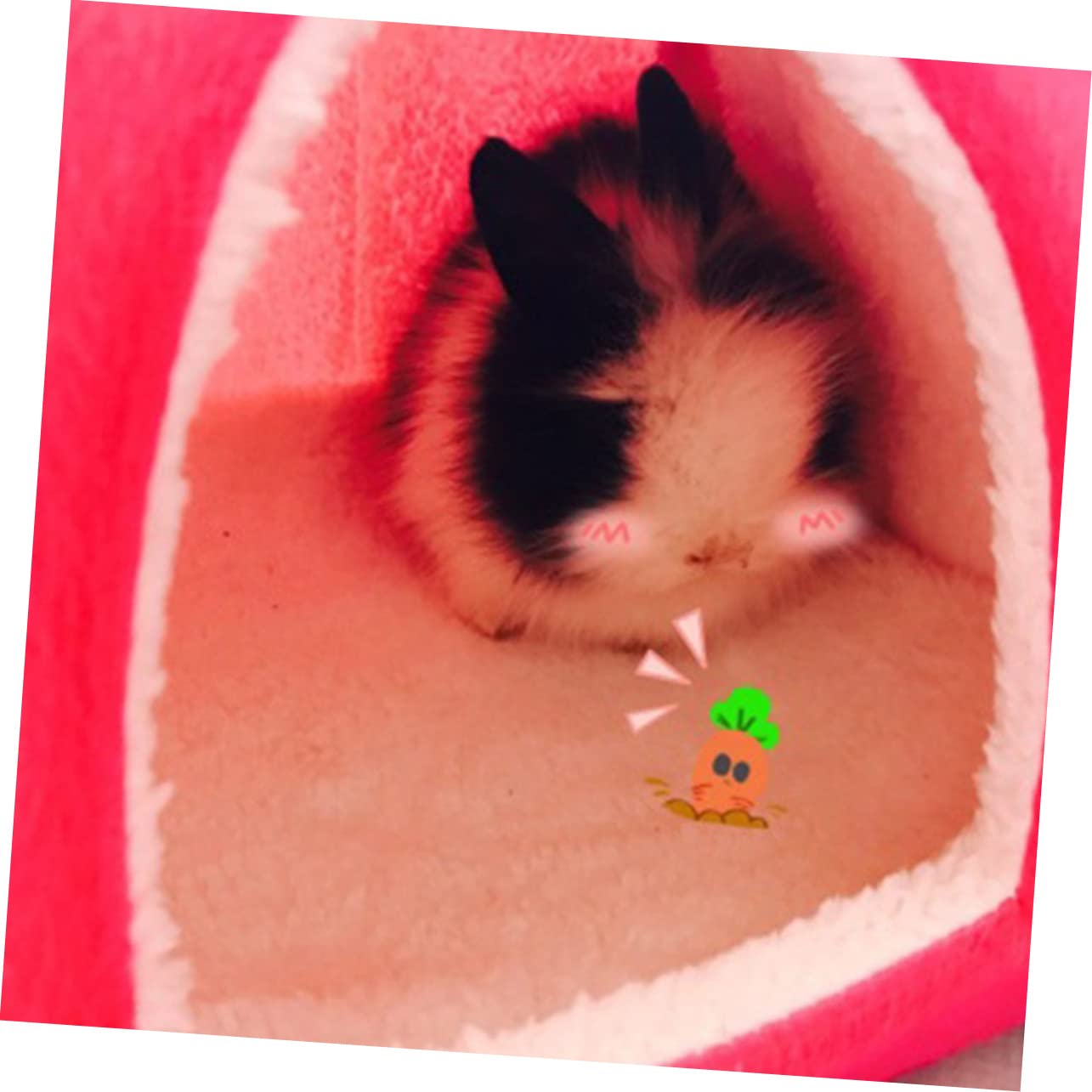 Angoily 2stücke Faltbares Kaninchen-Nest Aus Hochwertigem Material Warm Und Bequem Geeignet Für Kleintiere Wie Hamster Meerschweinchen Und Kaninchen Für Jahreszeiten