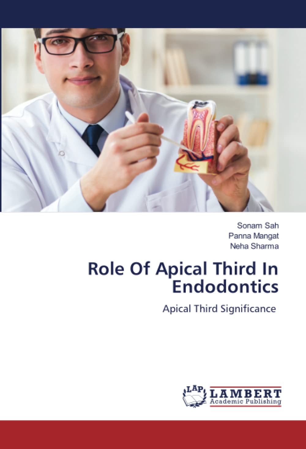 Role Of Apical Third In Endodontics: Apical Third Significance