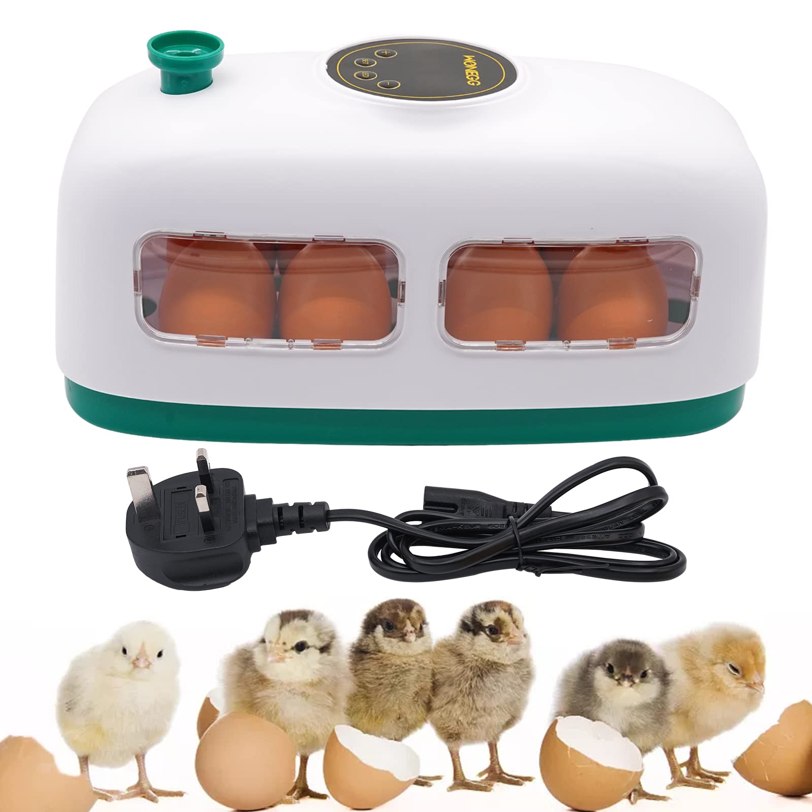 Buy MUYIRTED8 Egg Incubators For Hatching Eggs Digital Temperature