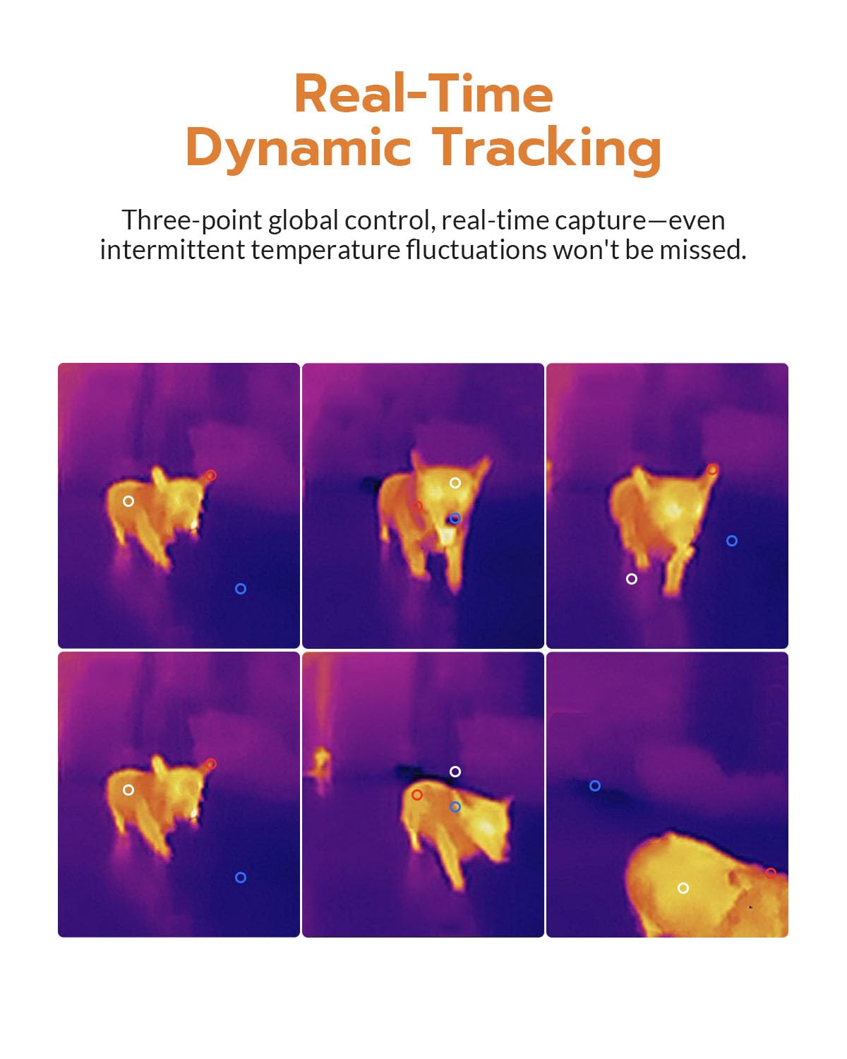 AccuMEMS GT14S Thermal Camera - Thermometer & Imaging -3