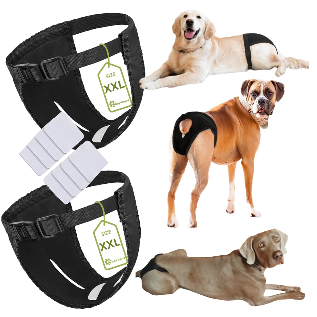 Bragas Perras Menstruales. Braguitas Perro Celo Hembra. Braga Perro Celo Hembra. Bragas para Perros Celo Hembra- 2 uds Incluye 8 Toallas SANITARIAS, Talla XXL, Negro