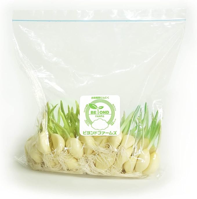 Amazon 発芽にんにく 水耕栽培 国産 500g スプラウトにんにく クール便配送 ビヨンドファームズ にんにく 通販