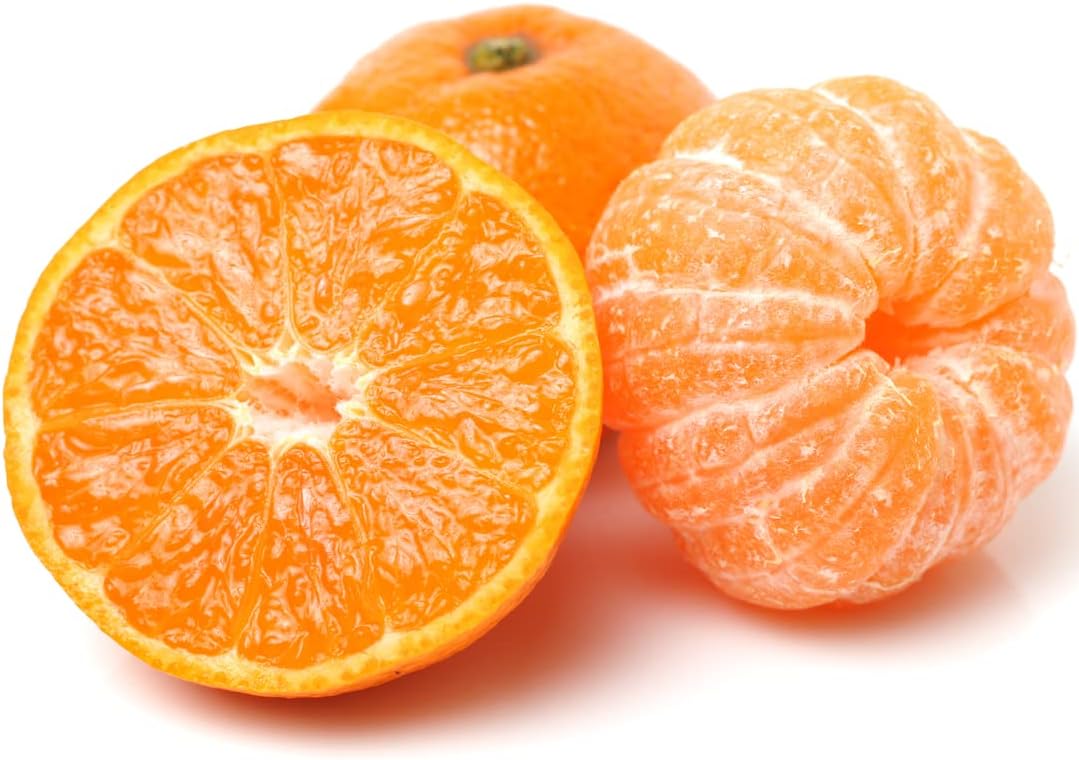 Clementine Satsuma Citrus 32 Units
