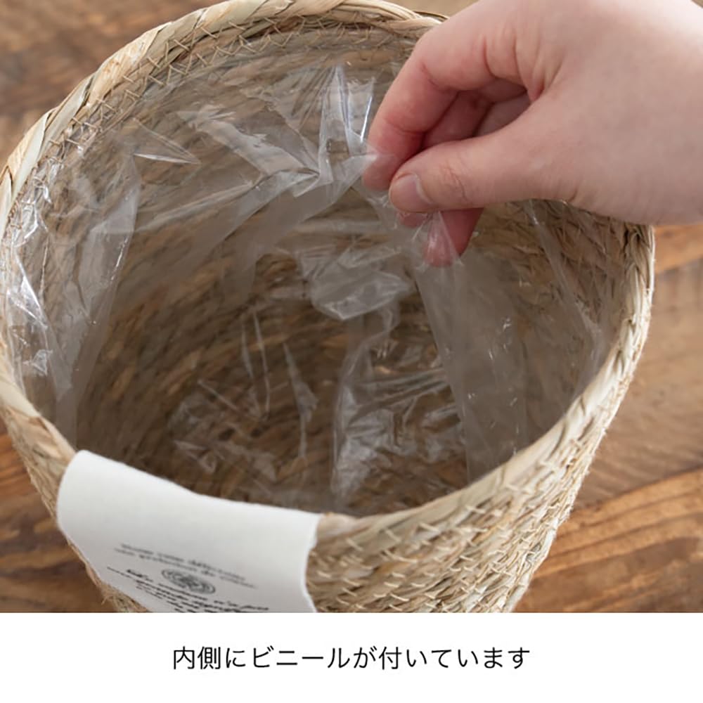 Amazon.co.jp: ヘッズ バスケット 直径13(9.5)×11cm S 6個 いぐさ かご