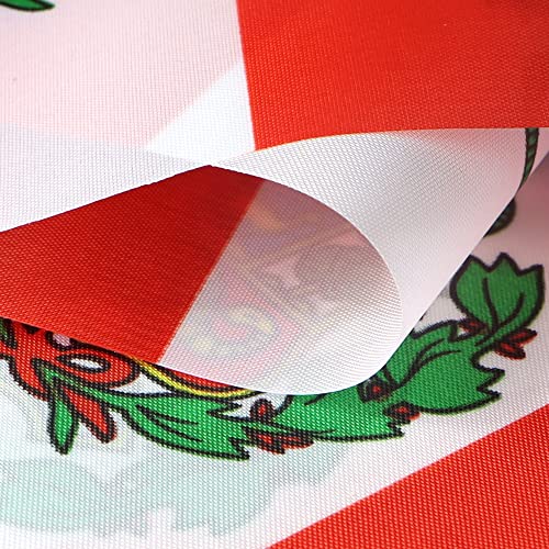 Image of Anley Peru String Flag Pennant Flags, Patriotic Events 28th of July Peruvian Independence Day Decoration Sports Bars - 33 Feet 38 Flags
