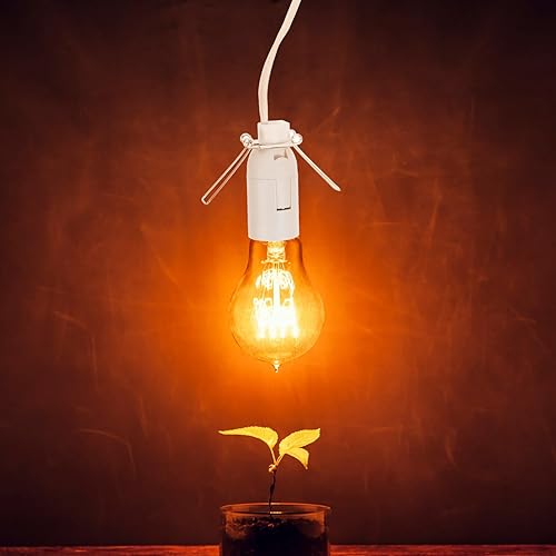 Miniatura 4 de 2 piezas E12 Cable de repuesto E12 Cristal Lámpara Cable de Reemplazo de Luces Enchufe Enchufe en la Bombilla de Luz del Himalaya Cable Eléctrico