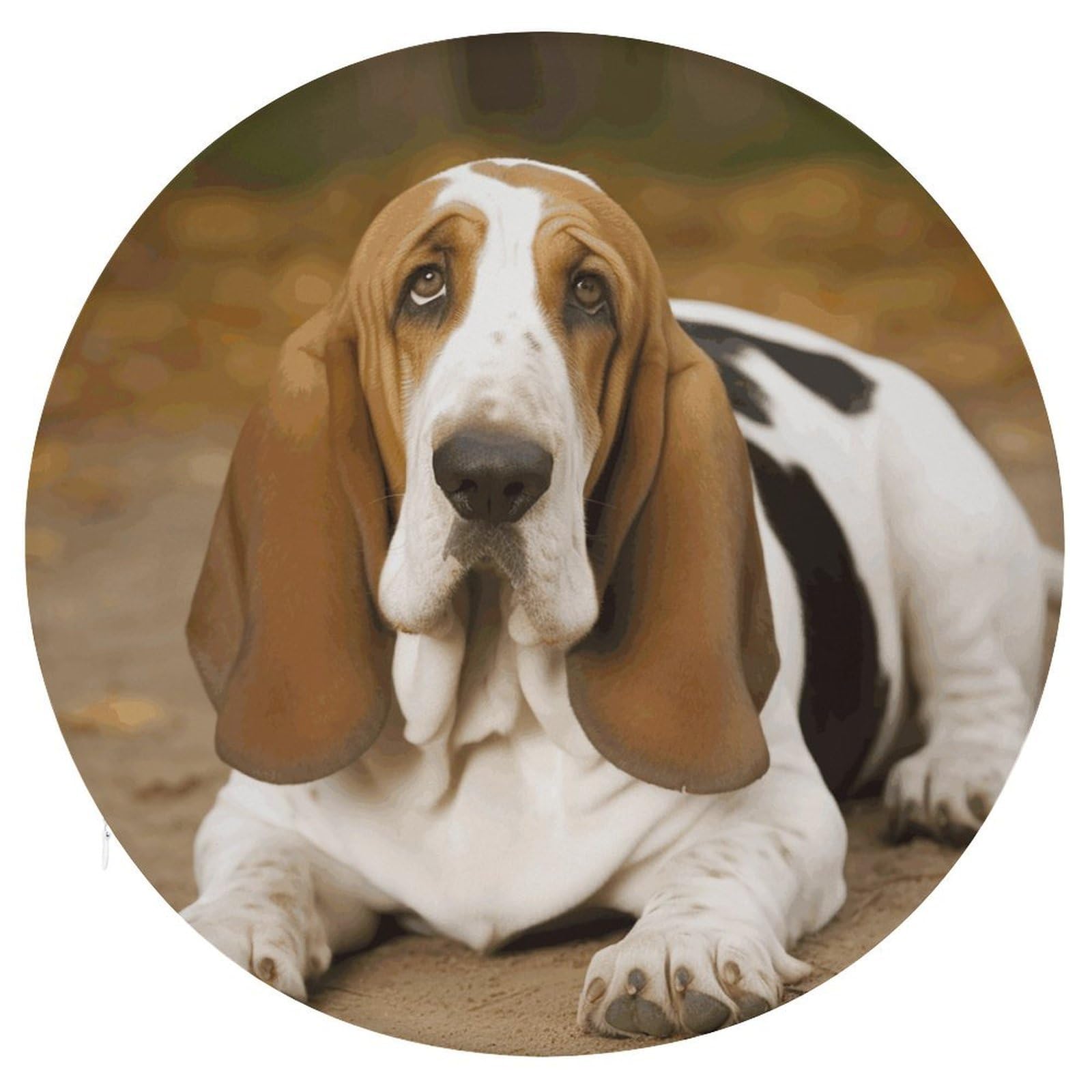 LZQPOEAS Basset Hound Round Chair Cushion 15 Inch, Detachable Memory Foam Seat Cushion,Circle Stool Cushion, Soft Round Chair Pad with Removable Cover
