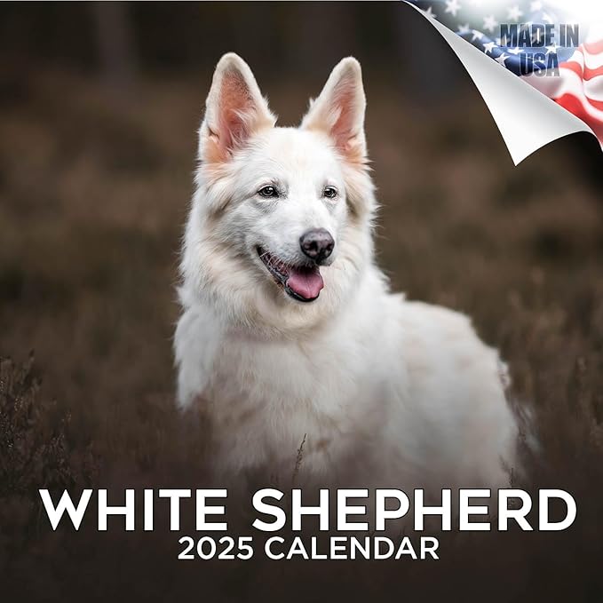 2025 2026 White Shepherd Calendar Dog Breed Monthly Wall