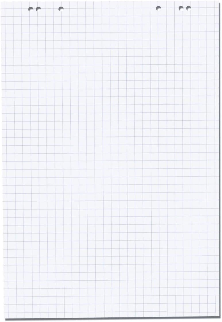 Herlitz 5-Pack Flipchart Pads - 68x99cm Squared Paper, 20 Sheets Per Pad, Recycled