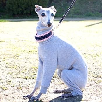 りったろページ　イタグレ服　ハンドメイド りったろ様専用ページ イタグレ服 ハンドメイド