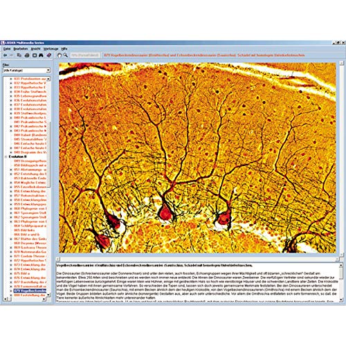 Sistema nervoso e trasmissione delle informazioni Parte II, CD-ROM interattivo