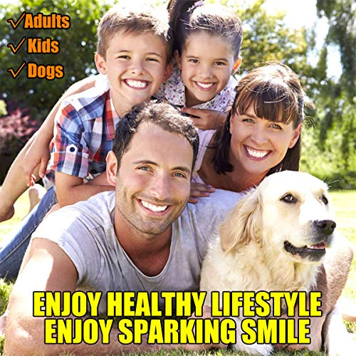 Dental Tools, 6 Pack Teeth Cleaning Tools Stainless Steel Dental Scraper Tooth Pick Hygiene Set with Mouth Mirror, Tweezer Kit for Dentist, Family Oral Care, Dogs - with Leather Case