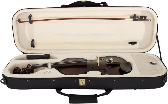 Full Size Violin, Full Size with Strings and Rosin, Full Size Violin for Beginners (4/4 Full Size)