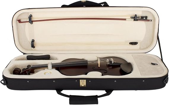 Full Size Violin, Full Size with Strings and Rosin, Full Size Violin for Beginners (4/4 Full Size)