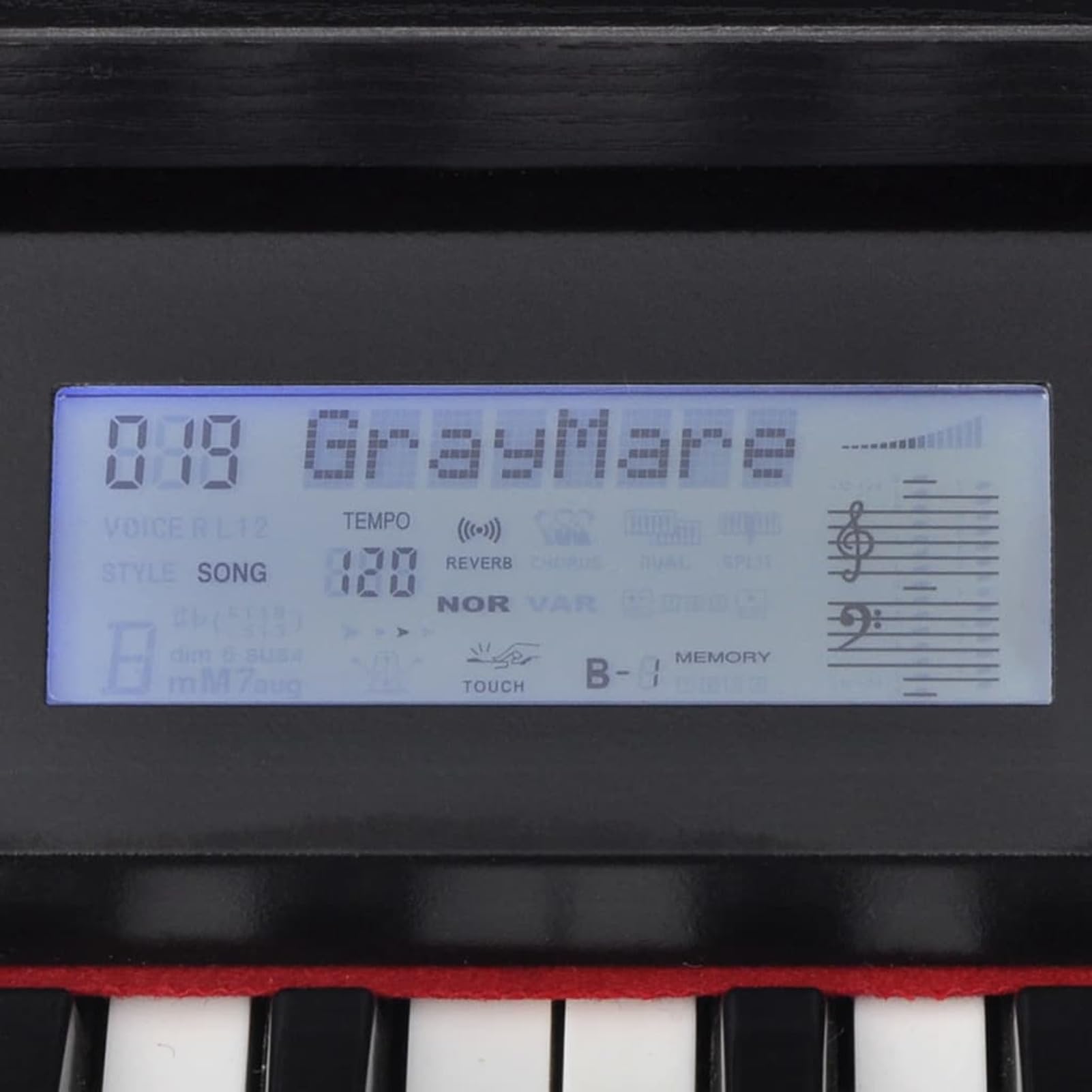 Pianoforte Digitale con 88 Tasti e Pedali in Melamina Nera,Arte e Svago,Hobby e Arti Creative,Strumenti Musicali,Pianoforti -70045