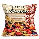 Hopyeer Give Thanks Thanksgiving Day Fall Throw Pillow Covers Exotic Oil Painting Farm Basket Harvest Pumpkin Apples Fruits Pillow Cushion Cover Cotton Linen Wood Pillowcase Home 18'x18'(Gd-Farm)