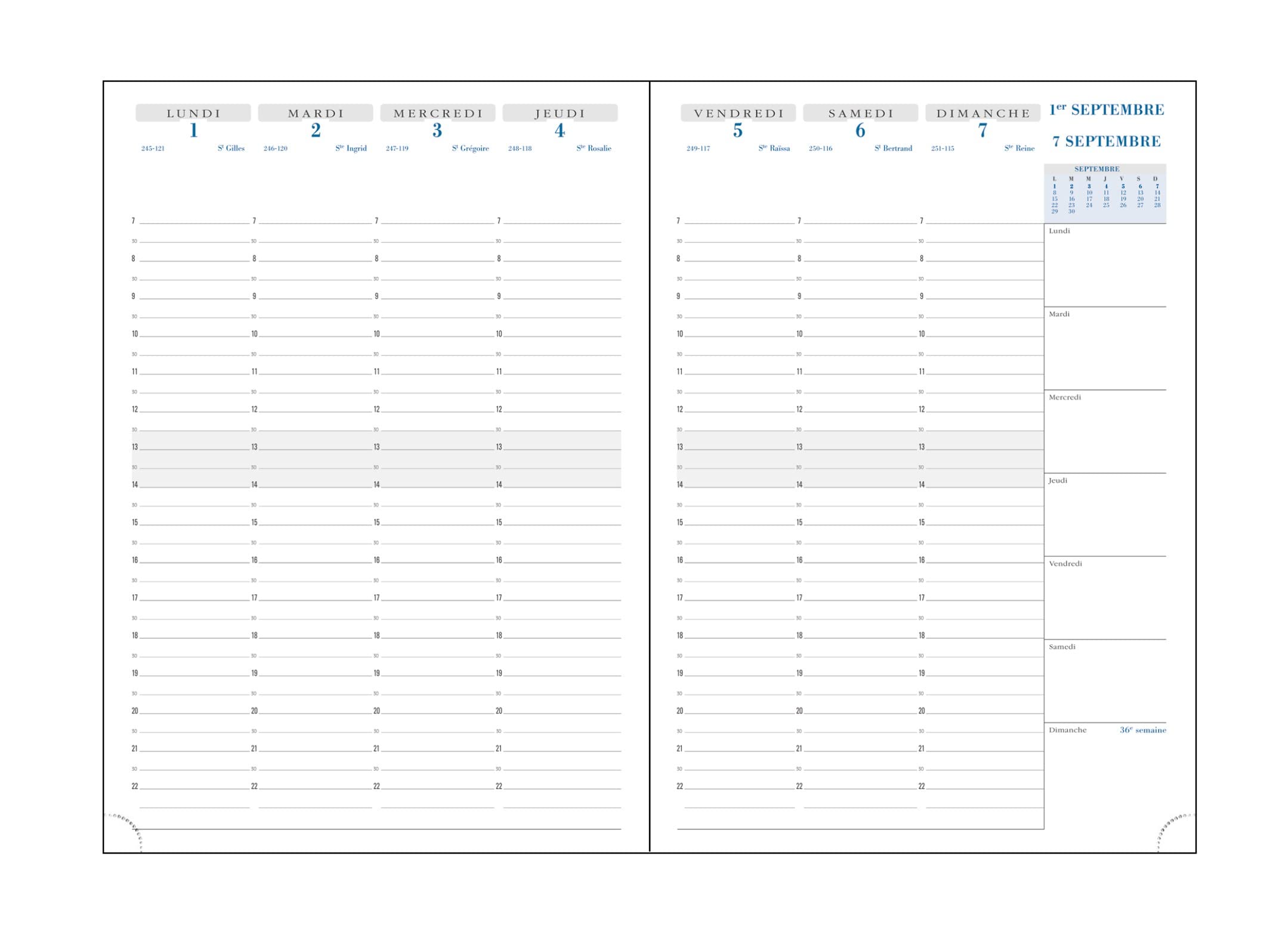 Exacompta - 290847E - Weekly refill SAD 29-21 x 29.7 cm - September 2024 to December 2025-16 months