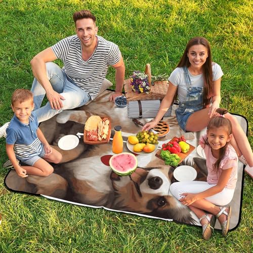Couverture de plage imperméable pliable et zippée pour animaux - 8