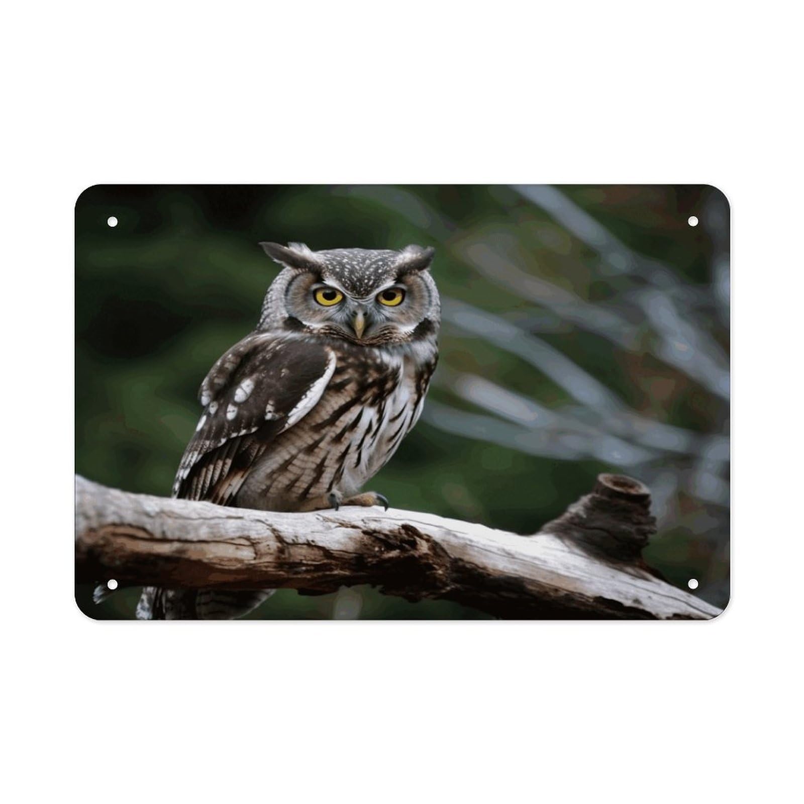 Wild Owl Birds Metal Tin Sign 12"x8" Wall Art Prints Poster Decorative Picture Metal Signboard Decor Painting Folded Edge Iron Sheet Painting with Holes for Wall Decor