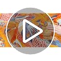 Boho Large Throw Blanket, 100% Organic Cotton Breathable Soft Bed Throw - Floral Bird Farmhouse Decor Blanket for Sofa Couch Chair Quilt and Gift. 60" x 80"- Colorful