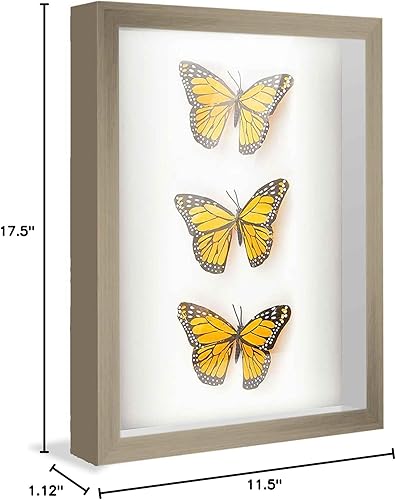 Miniatura 10 de Marco de caja de sombra gris de 10 x 16 pulgadas  Marco de exhibición rústico de madera real de 1.125 pulgadas de profundidad  Parte frontal de