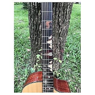 GaYouny Guitare Guitare Acoustique à Pouce, Toit épineux Solide, Touche de Rose de Rose, Guitard Guitare électrique… - Les Beatles, Paul McCartney, John Lennon, RIngo Starr, George Harrison GaYouny Guitare Guitare Acoustique à Pouce, Toit épineux Solide, Touche de Rose de Rose, Guitard Guitare électrique… – Image 2