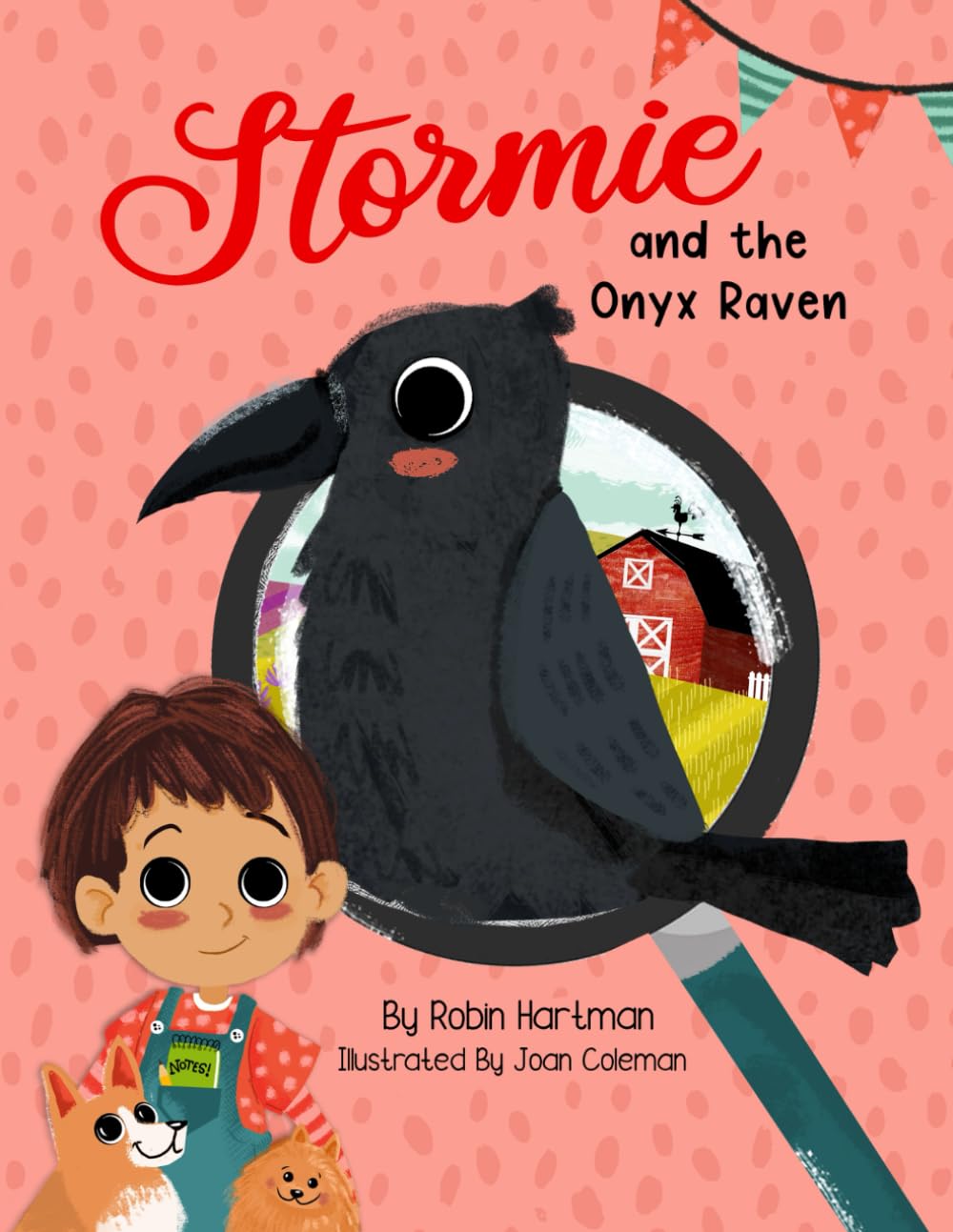 Stormie and the Onyx Raven