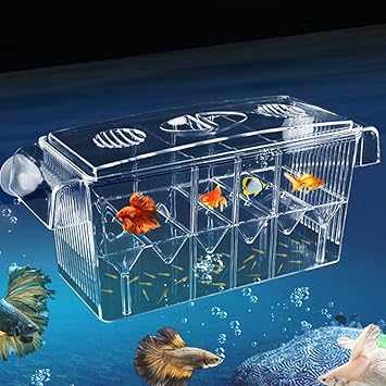 Amazon Redleafjp 繁殖隔離ボックス 多機能産卵箱 育成用 魚 飼育 水槽 魚卵 孵化 安全 大容量 稚魚保護 攻撃を防ぐ 水族館アクセサリー 魚孵化箱 ゴム吸盤 Redleafjp 繁殖用タンク 通販 Amazon Redleafjp 繁殖隔離ボックス 多機能産卵箱 育成用 魚 飼育 水槽 魚卵 孵化 安全 大容量 稚魚保護 攻撃を防ぐ 水族館アクセサリー 魚孵化箱 ゴム吸盤 Redleafjp 繁殖用タンク 通販