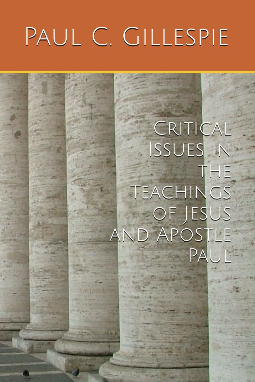 Critical Issues in the Teachings of Jesus and Apostle Paul