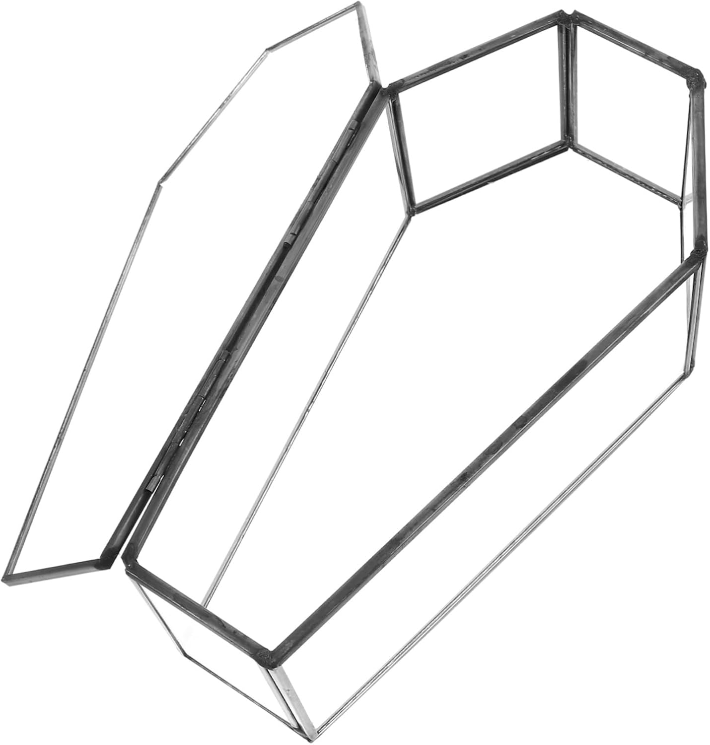 TOPBATHY Decorative Glass Coffin Box Gothic Jewelry Organizer With