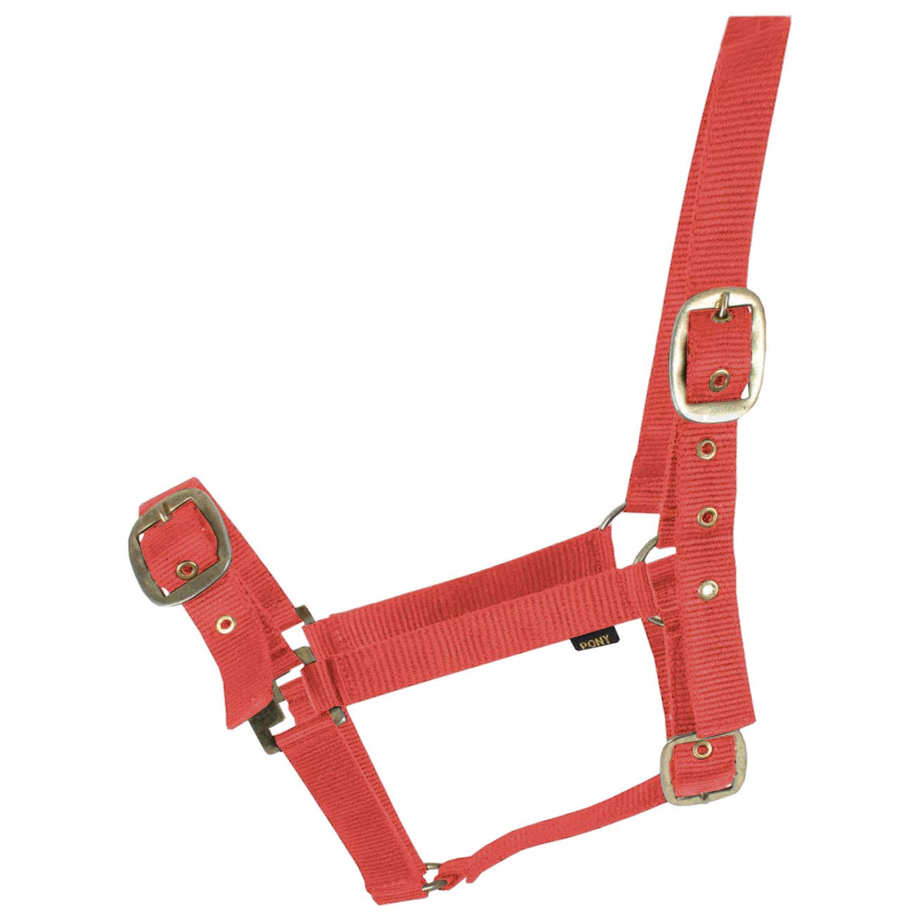 Jumpers Horse LineJhl Orion Headcollar