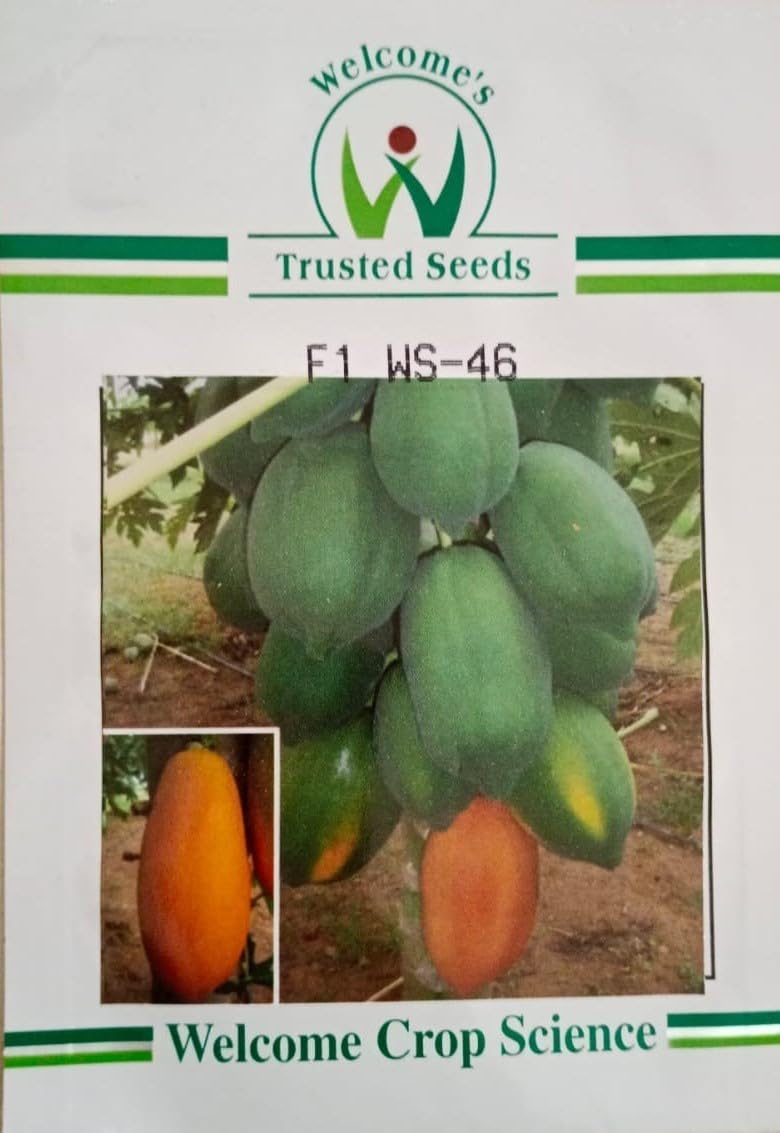 See full amazon price history chart for Welcome Ws 46 Papaya seed Welcome Ws 46 Papaya seed (B0D6W6Z9NZ) Amazon Price History, Amazon Price Tracker