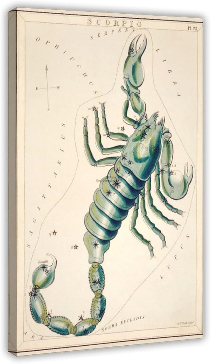 Vintage Astrology Scorpio Zodiac Sign Poster,Astronomical Scorpio Illustration Art Print Canvas Poster Wall Art Decor Print Picture Paintings for Living Room Bedroom Decoration 08x12inch(20x30cm)