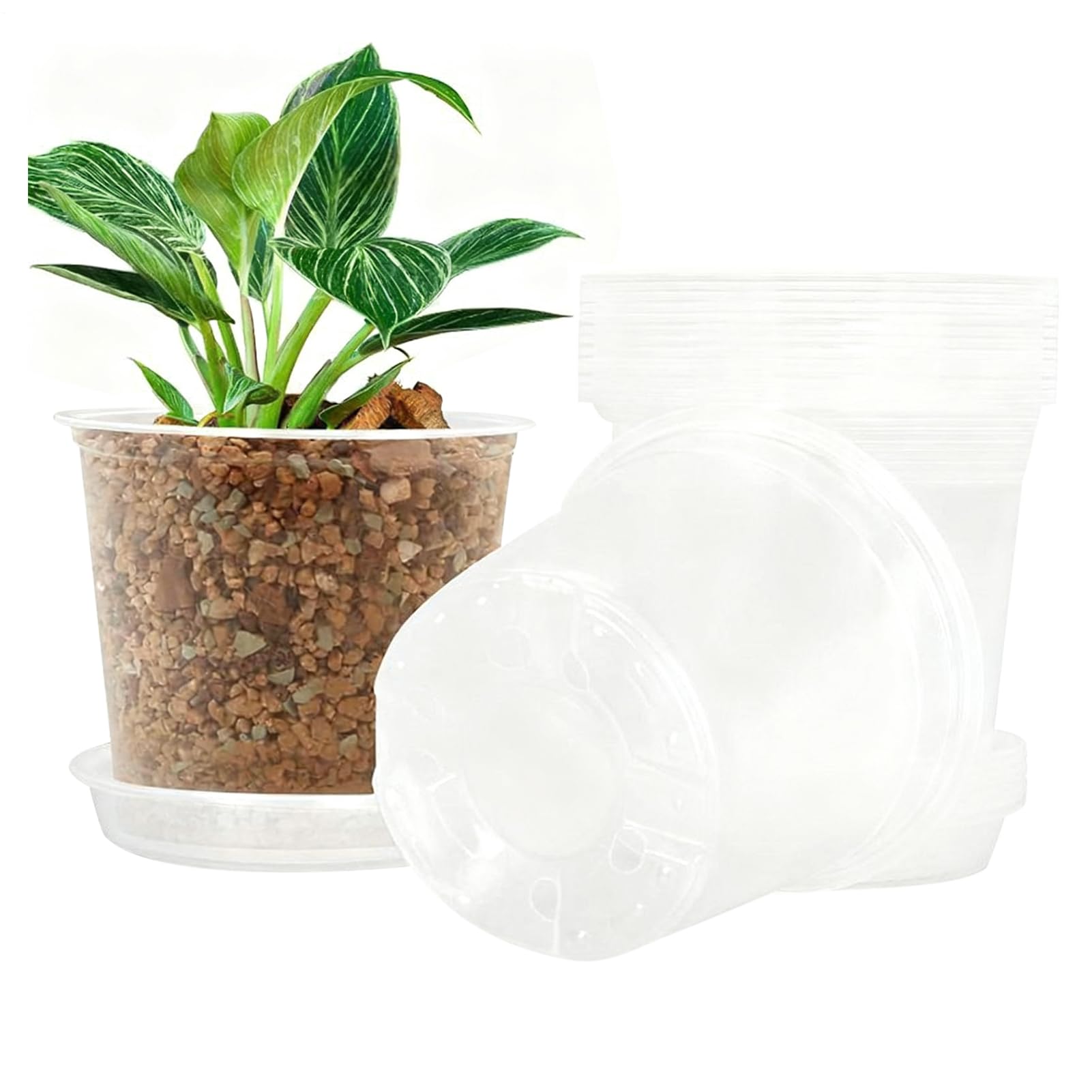 Macetas de vivero para hierbas aromáticas sin pudrición por riego y con platos de goteo