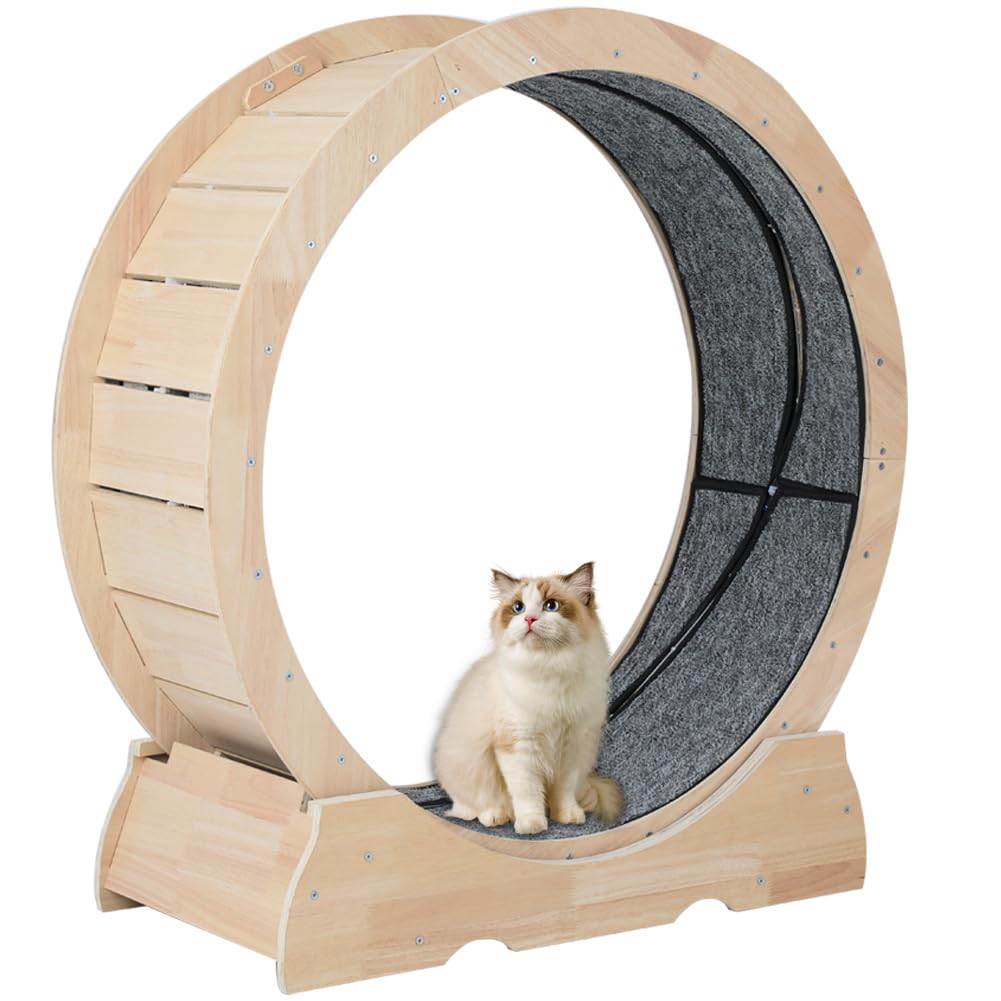 Sdjazl Rueda grande para gatos, cinta de correr para gatos, rueda de ejercicio para correr, girar y escalar para gatos de interior, bicicleta para dispositivo de pérdida de peso