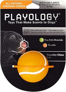 PLAYOLOGY - Squeaky Chew Ball Dog Toy - Medium/Large - Engaging All-Natural Cheddar Cheese Scent