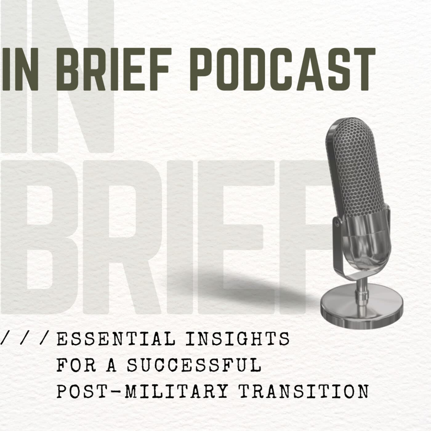 In Brief: Essential Insights for Post-Military Transition