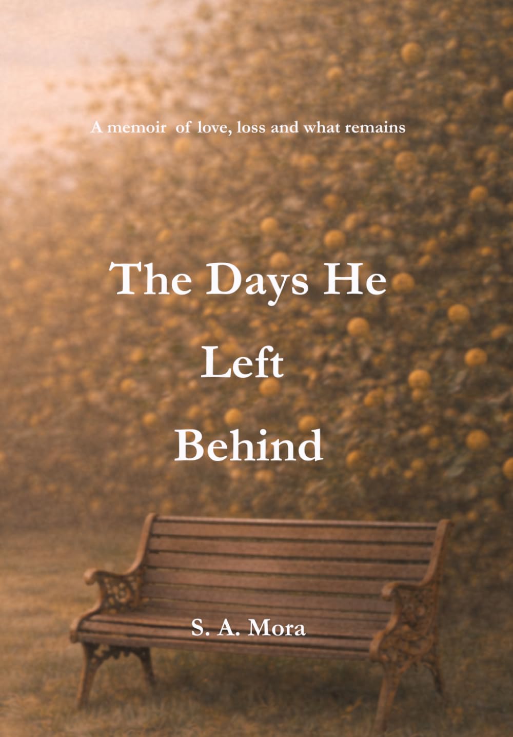 The Days He Left Behind: A memoir of love, loss and what remains
