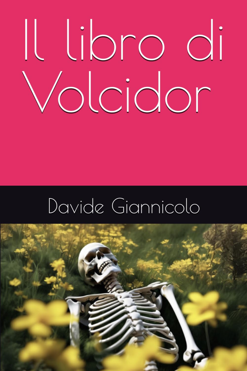 Il libro di Volcidor