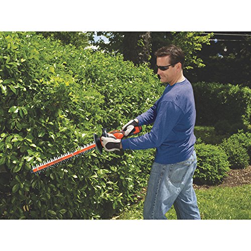 BLACK+DECKER 40V MAX Cordless Hedge Trimmer, 24-Inch (LHT2436)