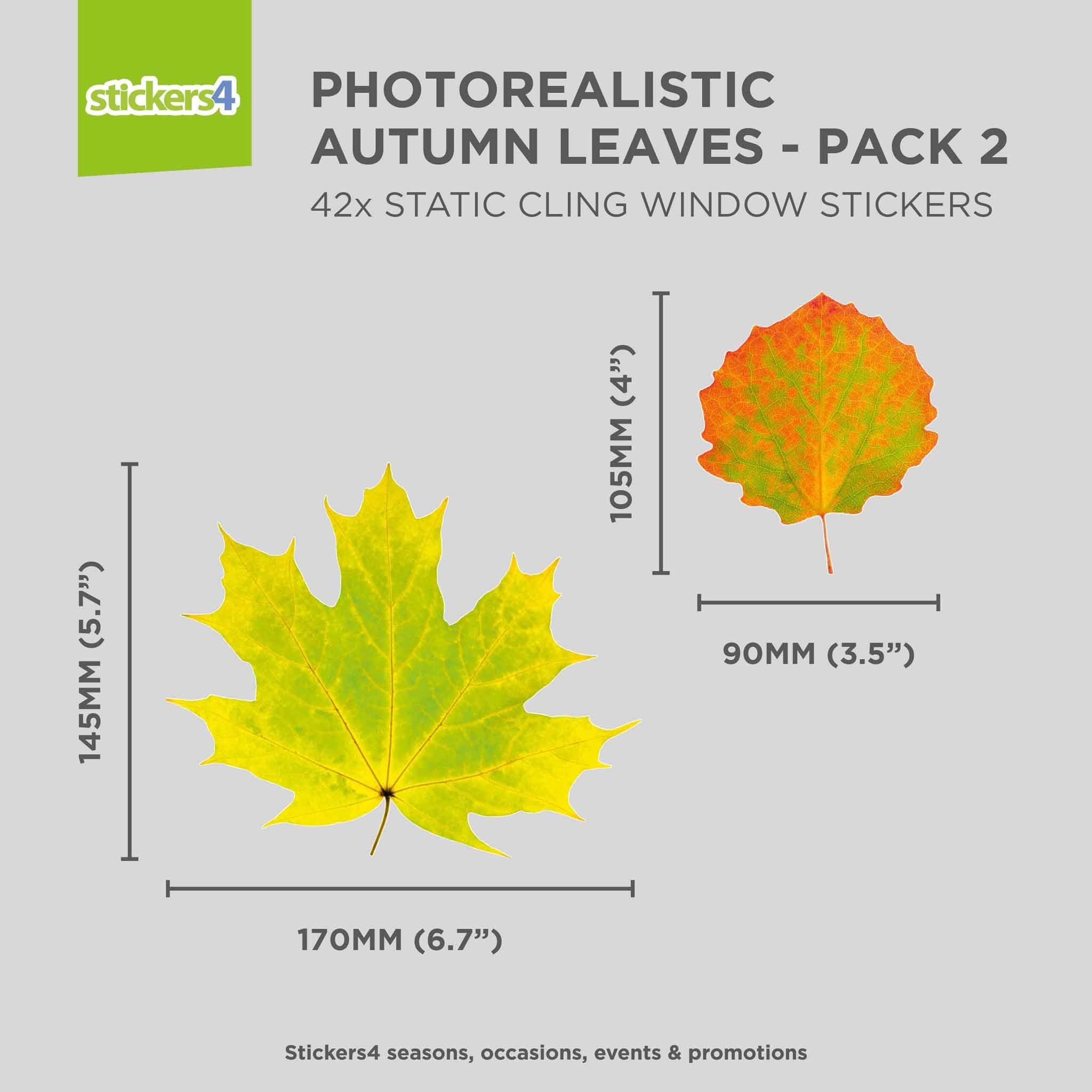 Stickers4 - Autumn Decorations - 42 Static Cling Leaves Double Sided Window Stickers - Photo Realistic Decor - Image 4