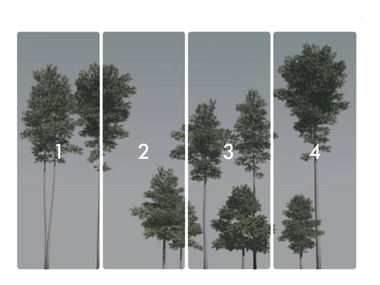 Komar Non-Woven Photo Wallpaper, Pines, Size 400 x 280 cm (Width x Height) - Image 3