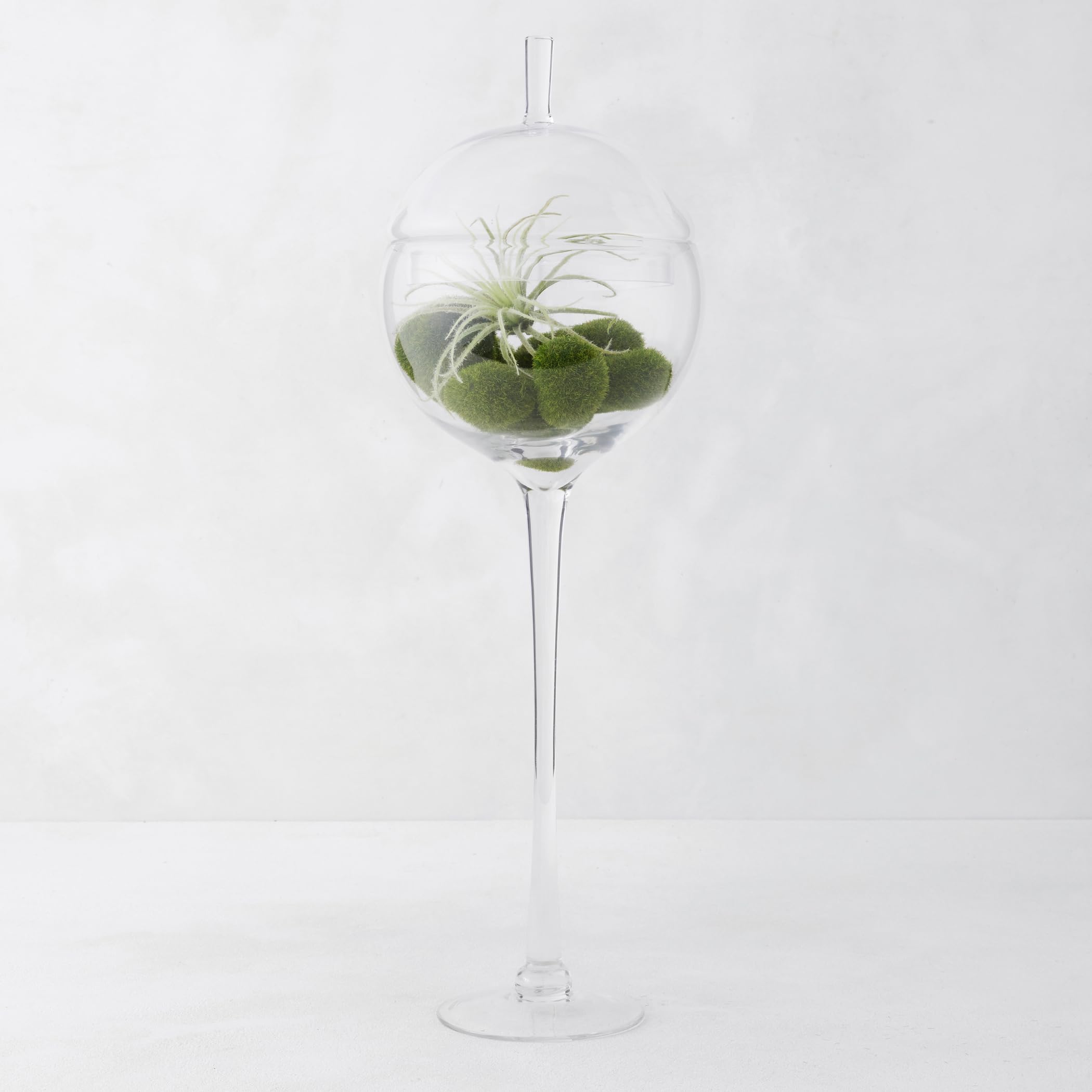 Amazon.com: Z Gallerie Jules Glass Cloche, Hand-Blown Glasses