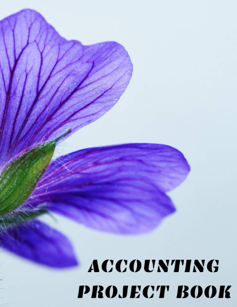 Accounting Project Book, Transaction, Accounts, Debit, Credit And Balance - Simple Classic Design