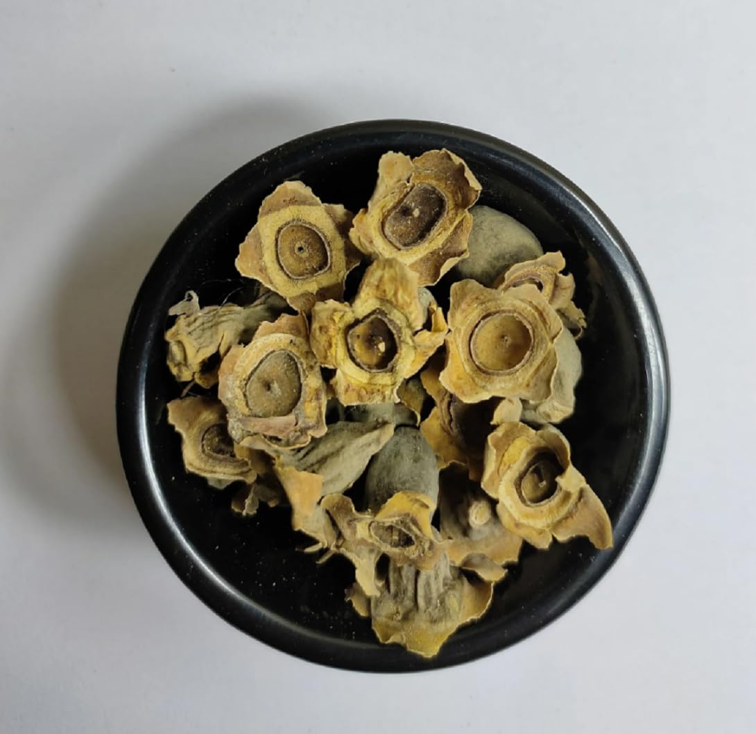See full amazon price history chart for Bay Khumba-Careya Arborea-Vakumbha-Kumbhi-Baikhumba (500 Gms) Bay Khumba-Careya Arborea-Vakumbha-Kumbhi-Baikhumba (500 Gms) (B085HVVS3V) Amazon Price History, Amazon Price Tracker