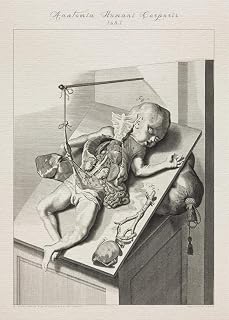 Human anatomy BABY DISSECTION AUTOPSY print SRA3 12x18 conqueror laid paper