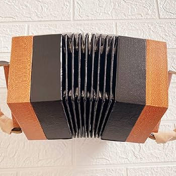 Amazon | 30 ボタン アコーディオン コンサーティーナ、入門レベルの